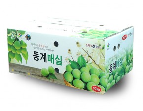 동계 청매실 왕특10kg